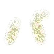 151