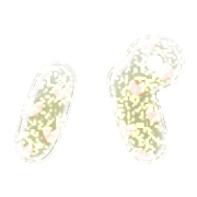 156