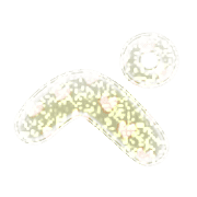 159