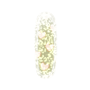 170