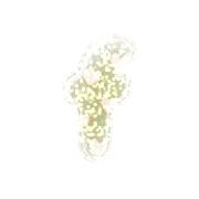 193