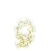 194