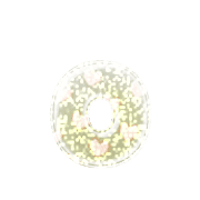 202