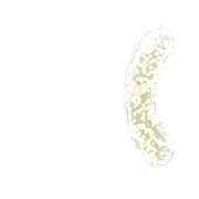 234