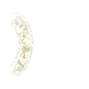 235