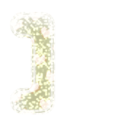 241