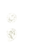 243