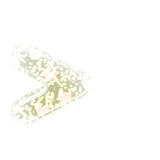 249