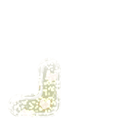 255