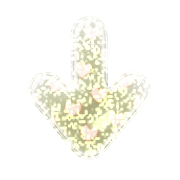 261