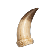 009