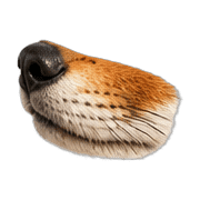 029