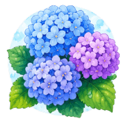 005