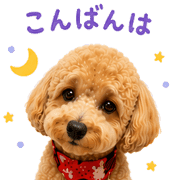 003
