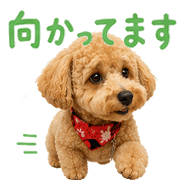 020