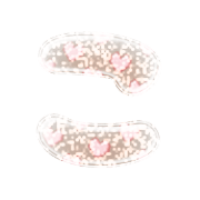 010