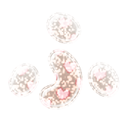 028