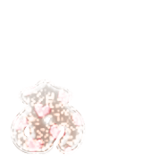 047