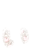 048