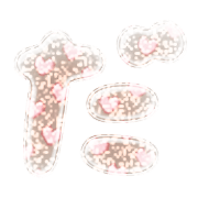 066