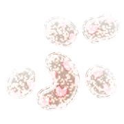 073