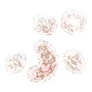 078