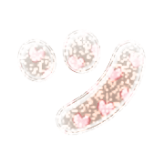 098