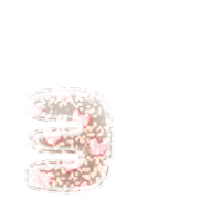 135