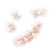 142