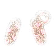 156