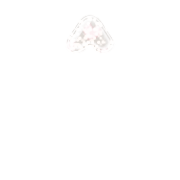 231