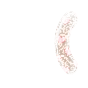 234