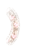 235