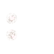 244