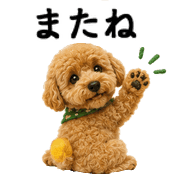 036