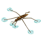 009