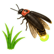 012