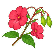 019