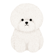 031