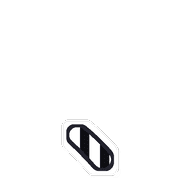 256
