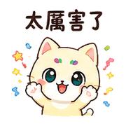 003