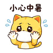 003
