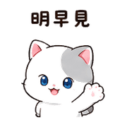 019