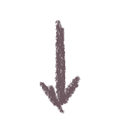 261