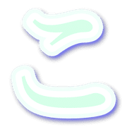 010