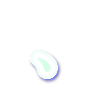 256