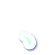 256