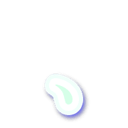 256