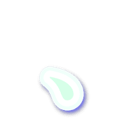256