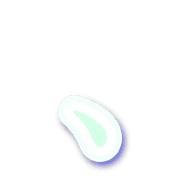 256